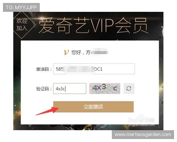 爱游戏网站会员登录指南，详细步骤帮助你顺利完成账号登录流程