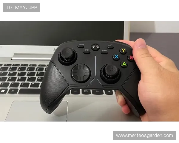 高品质的K8真人模拟器带来逼真的操控感受和丰富多彩的游戏内容