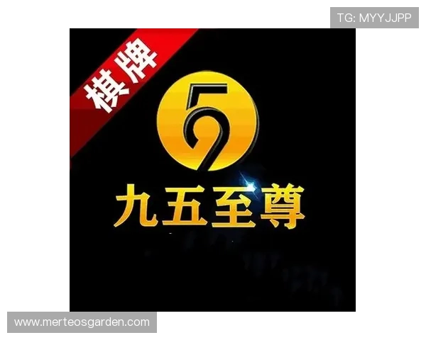 九五至尊电子正版棋牌最新版本上线,丰富玩法带来极致娱乐体验 九五至尊电子正版棋牌最新版本上线,丰富玩法带来极致娱乐体验