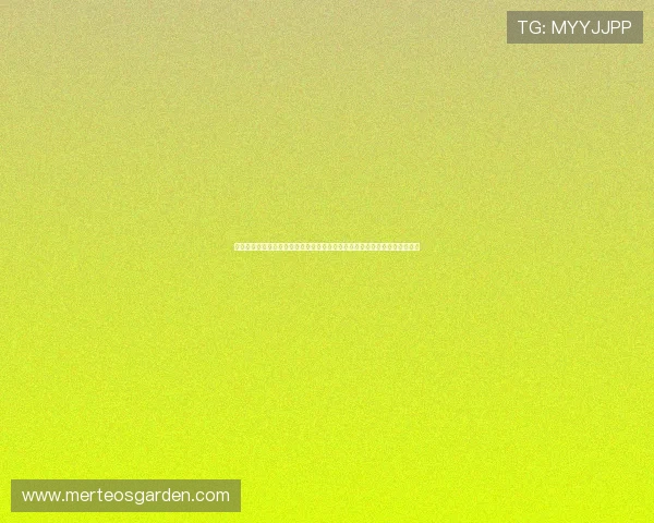 多渠道世界杯比赛结果查询入口汇总满足不同用户对比赛结果快速查阅的需求 多渠道世界杯比赛结果查询入口汇总满足不同用户对比赛结果快速查阅的需求