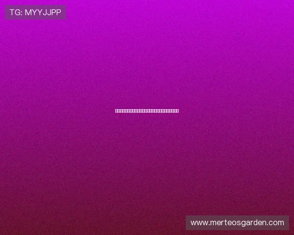 新西兰和埃及足球实力全面比较谁在世界杯赛场上更具优势